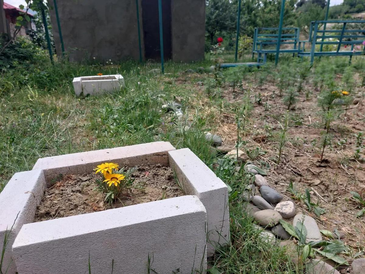 Green House In Vazisubani Tbilisi Georgia